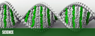 Nauka i Rekonektivno isceljivanje